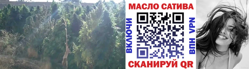 ТГК жижа  Белая Холуница 