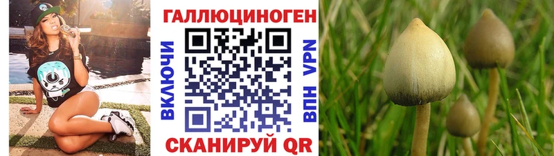 купить наркотики цена  Белая Холуница  Псилоцибиновые грибы мицелий 
